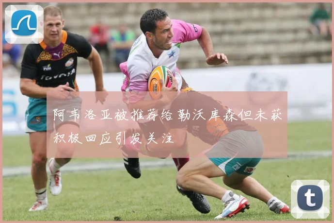 阿韦洛亚被推荐给勒沃库森但未获积极回应引发关注